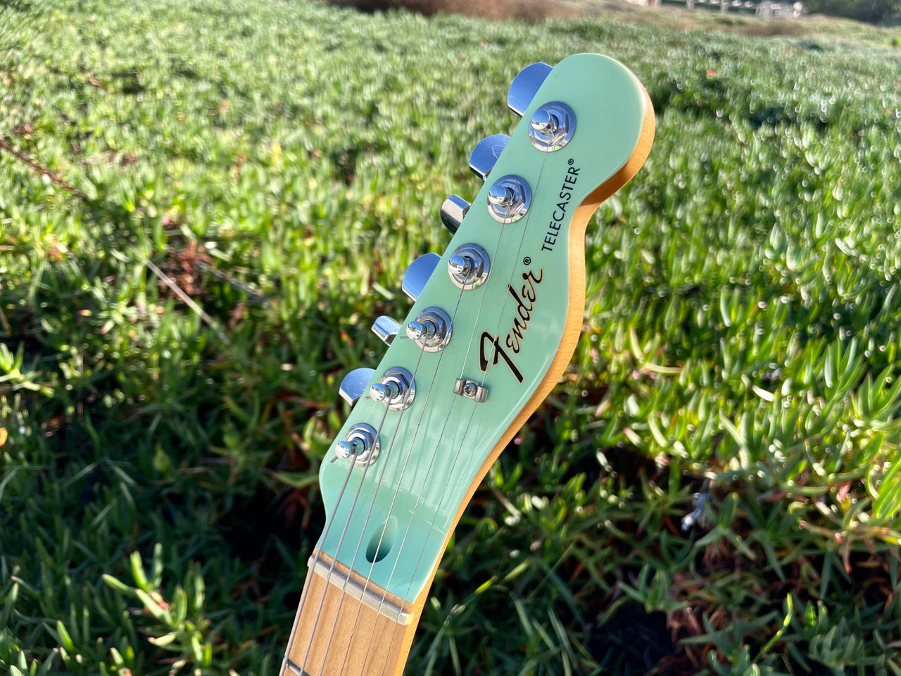Fender FSR Telecaster Surf green matching headstock w/ matching Fender Blues Jr. SOLD